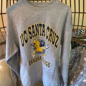 UC Santa Cruz Gray Sweater